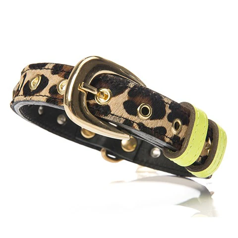 CHACO | Collar in Leopard