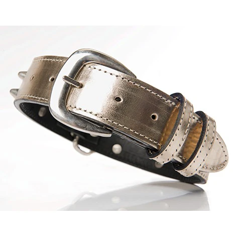 CHACO | Collar in Metallic - Image 2