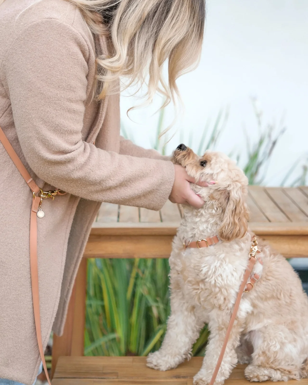 Chai Brown Waterproof Dog Collar - Image 3