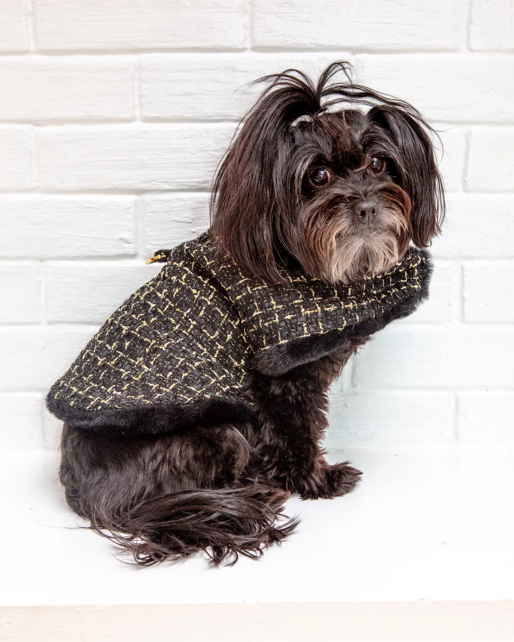 Chantel Tweed Dog Coat in Black (FINAL SALE)