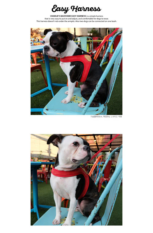 Adjustable Easy Dog Harness in Red - Image 6