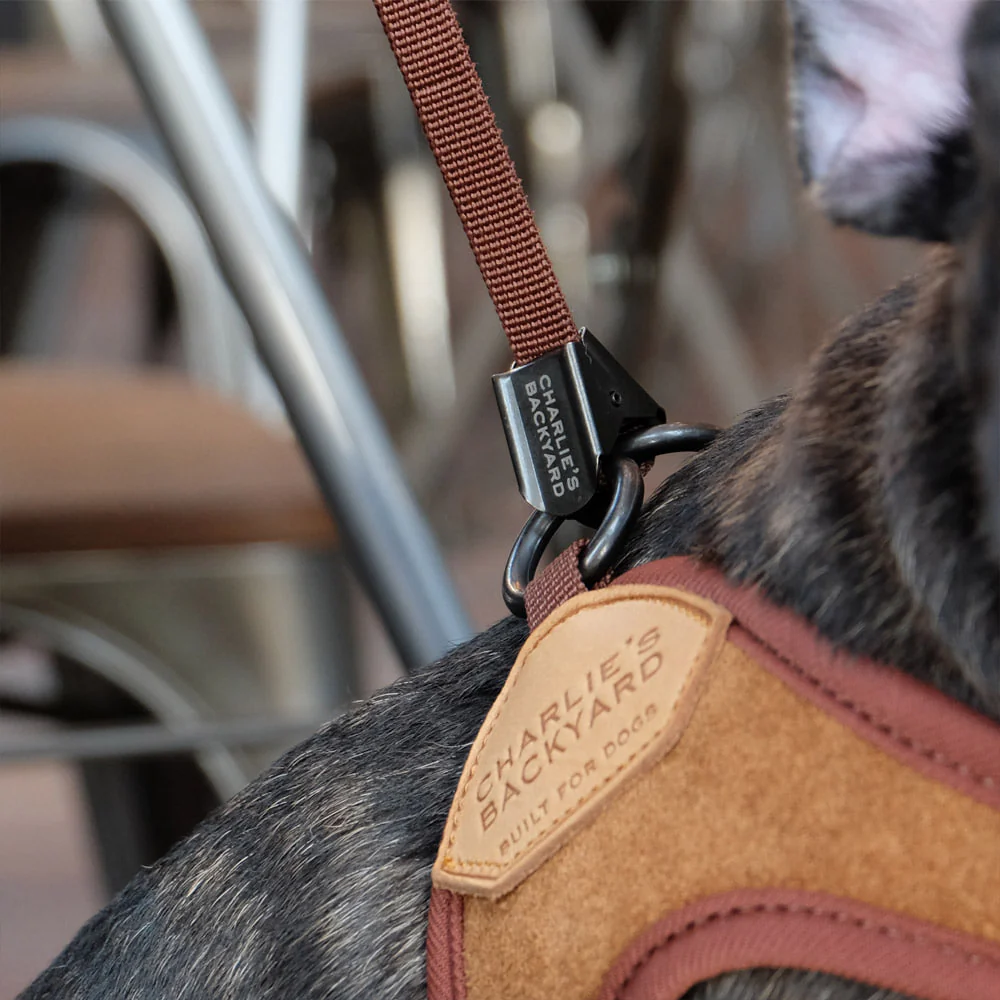 Adjustable Easy Dog Harness in Tan - Image 7