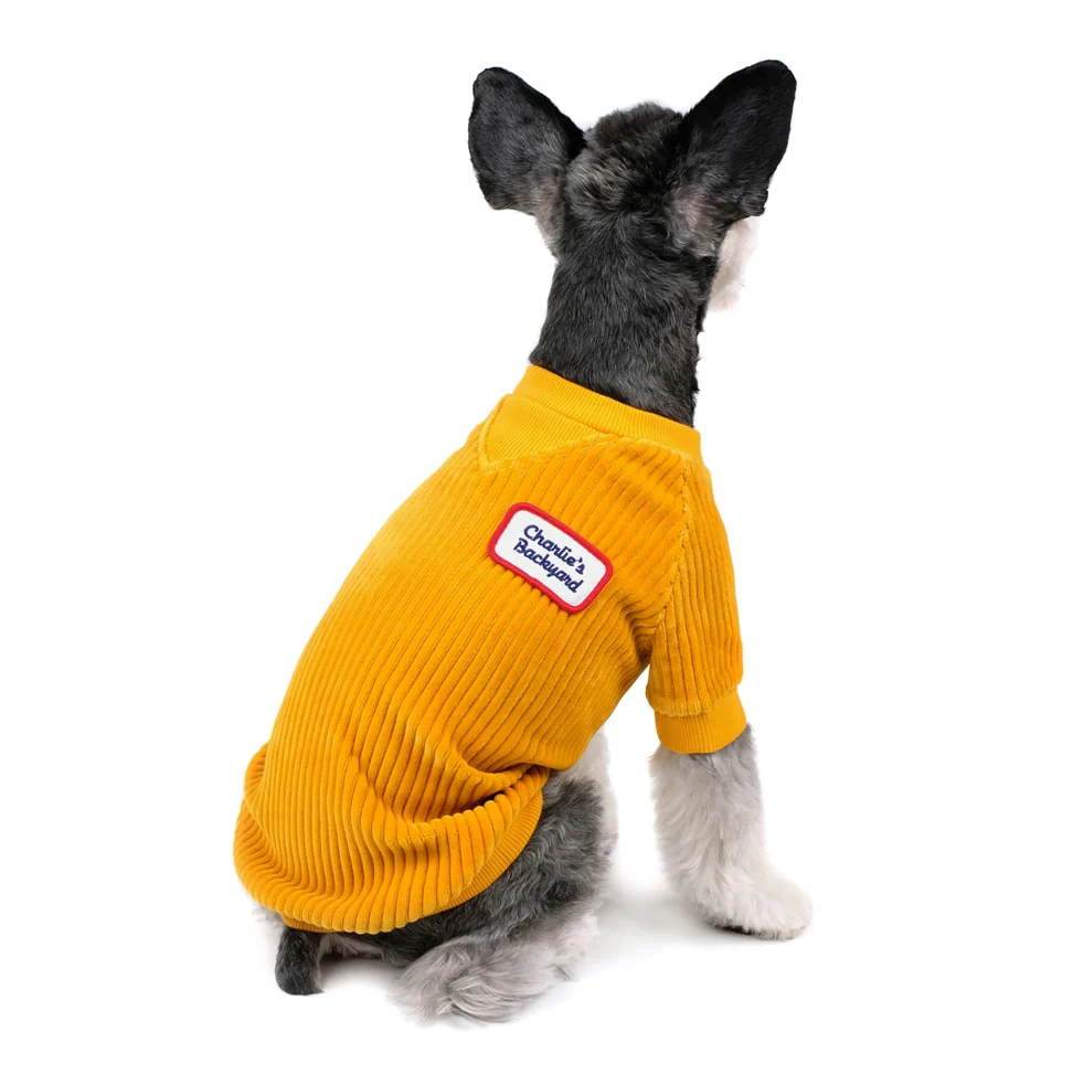 CHARLIE'S BACKYARD | Alley Pullover in Mustard - Image 5