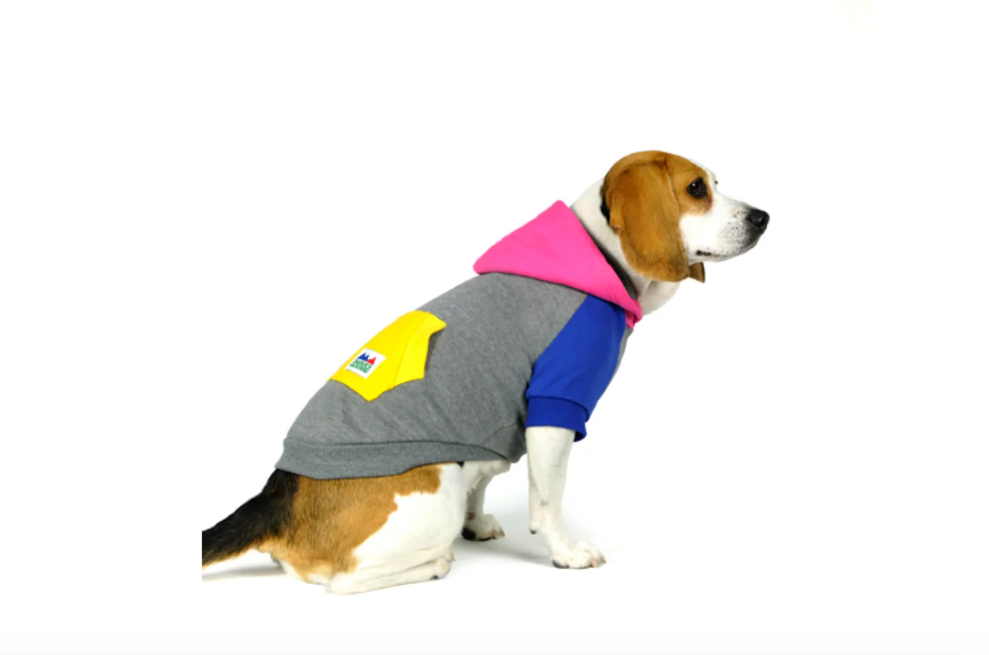 CHARLIE'S BACKYARD | Block Hoodie in Grey - Image 3