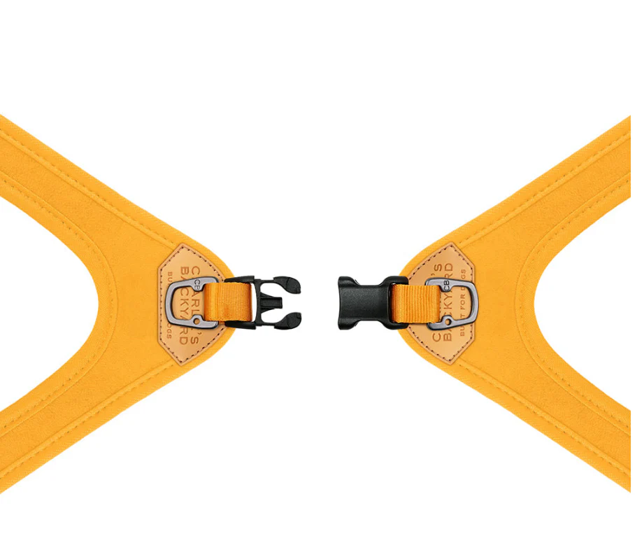 Buckle Up Easy Dog Harness in Gray - Image 7
