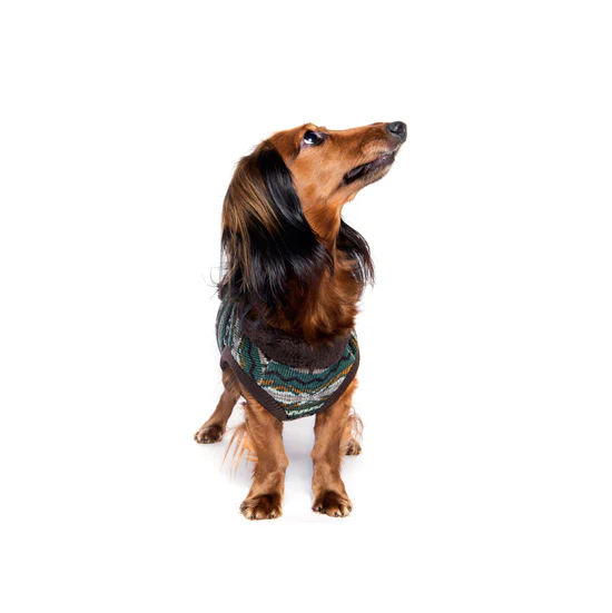 CHARLIE'S BACKYARD | Carpenter Fleece Vest - Image 3