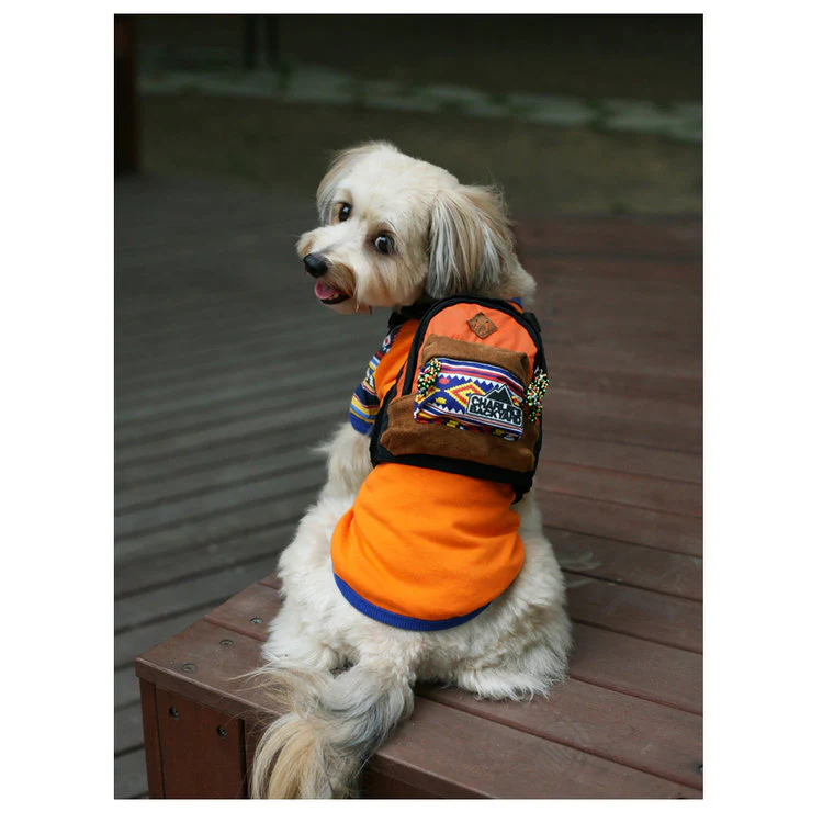 CHARLIE'S BACKYARD | Charlie's Bag Backpack in Orange - Image 2