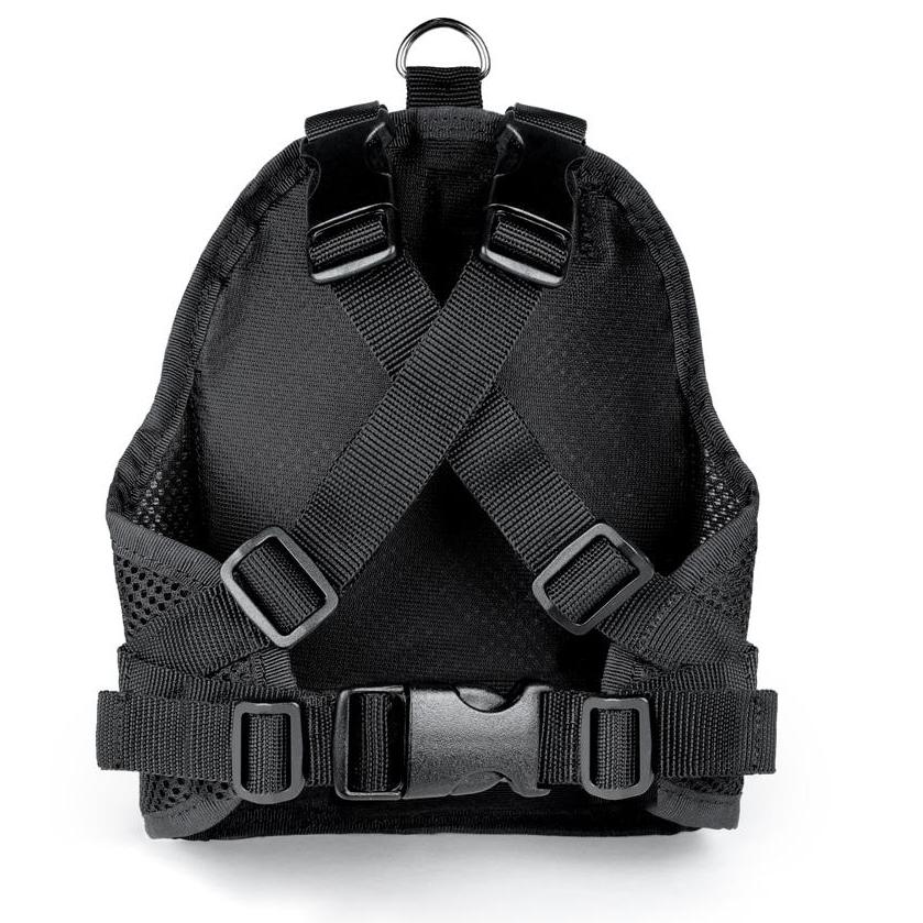 Charlie's Bag Backpack in Red - Image 4