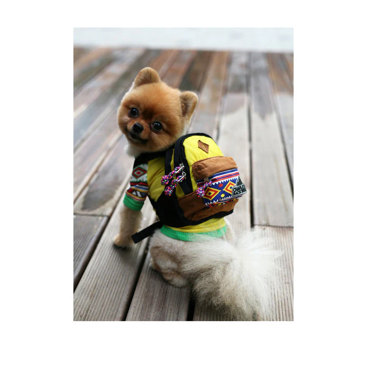 Charlie's Bag Backpack in Yellow (FINAL SALE) - Image 5