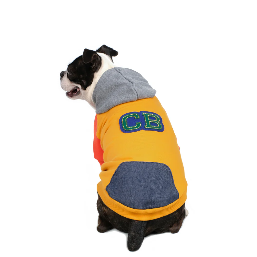 CHARLIE'S BACKYARD | Club Hoodie in Yellow - Image 2