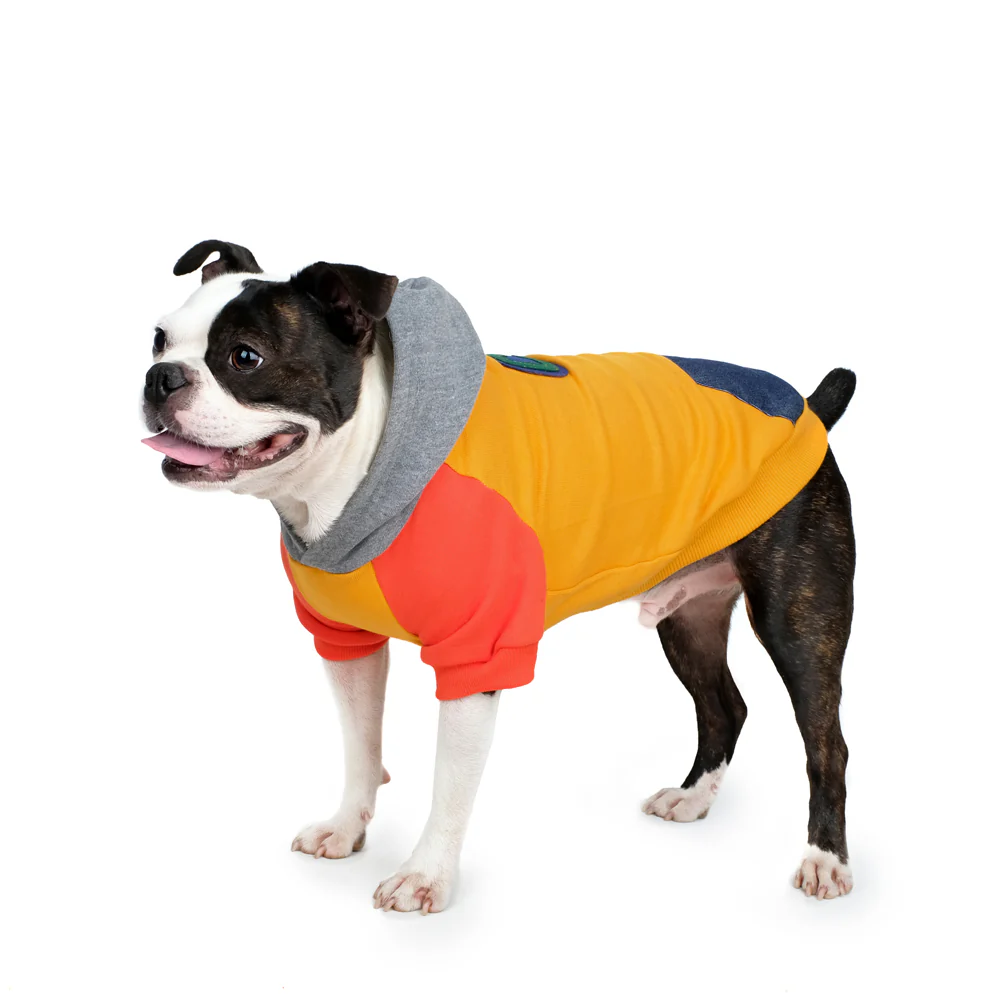 CHARLIE'S BACKYARD | Club Hoodie in Yellow - Image 3
