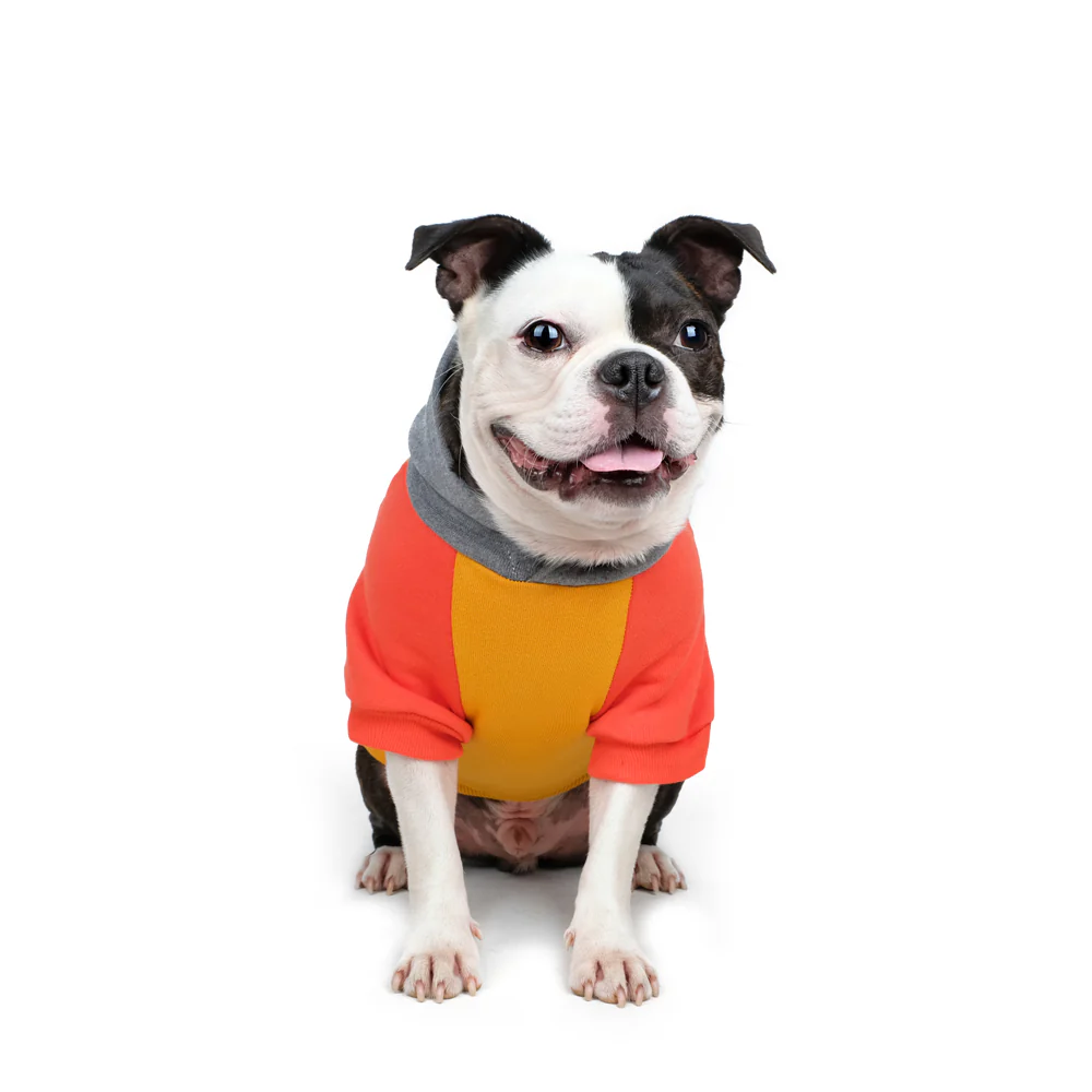 CHARLIE'S BACKYARD | Club Hoodie in Yellow - Image 4