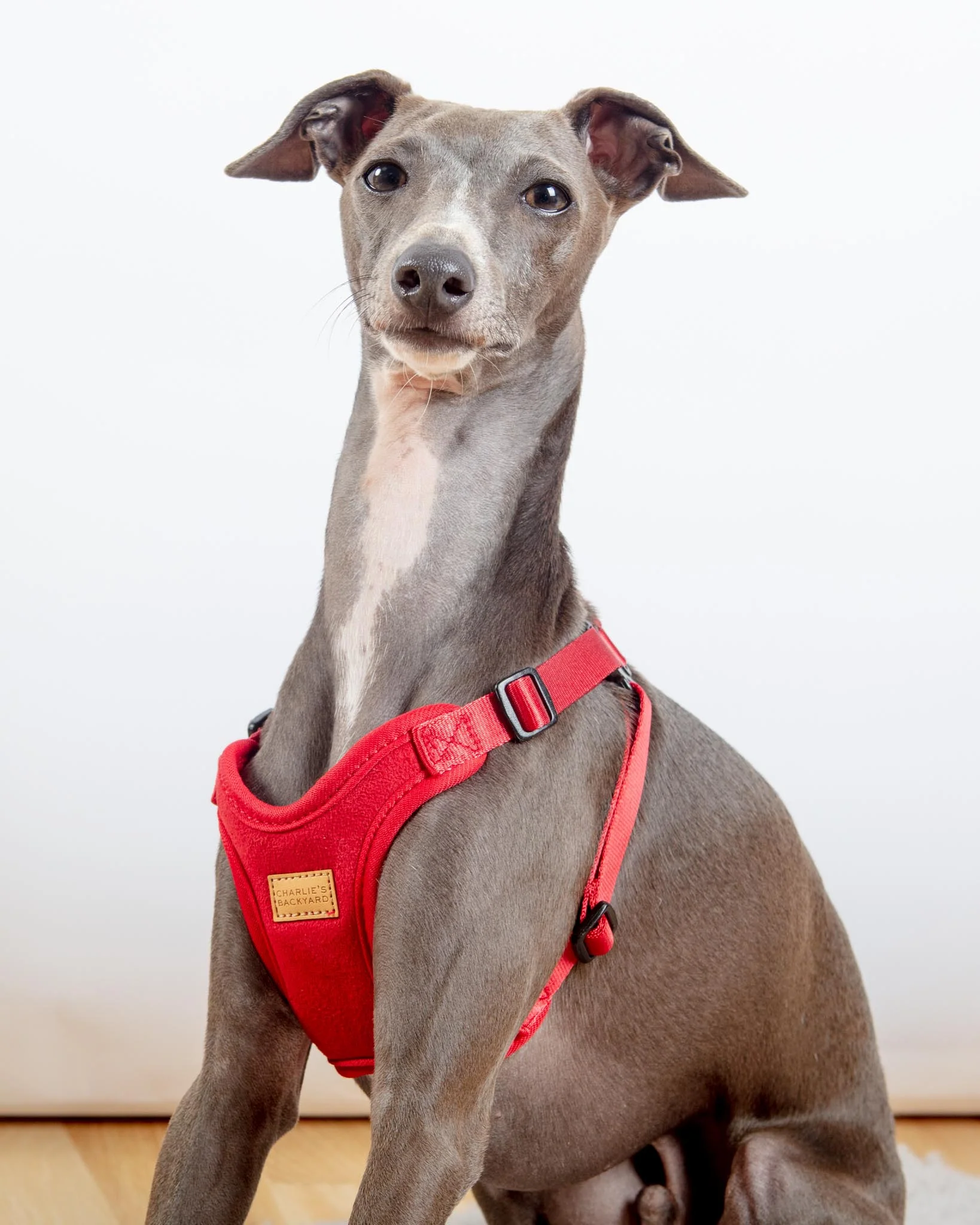 Comfort Dog Harness in Red - Image 2