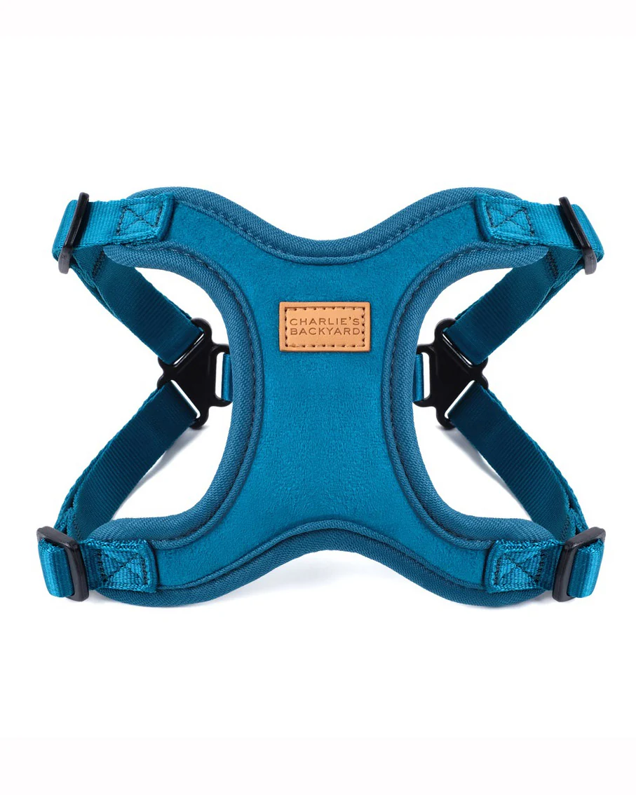 Comfort Dog Harness in Teal - Image 2