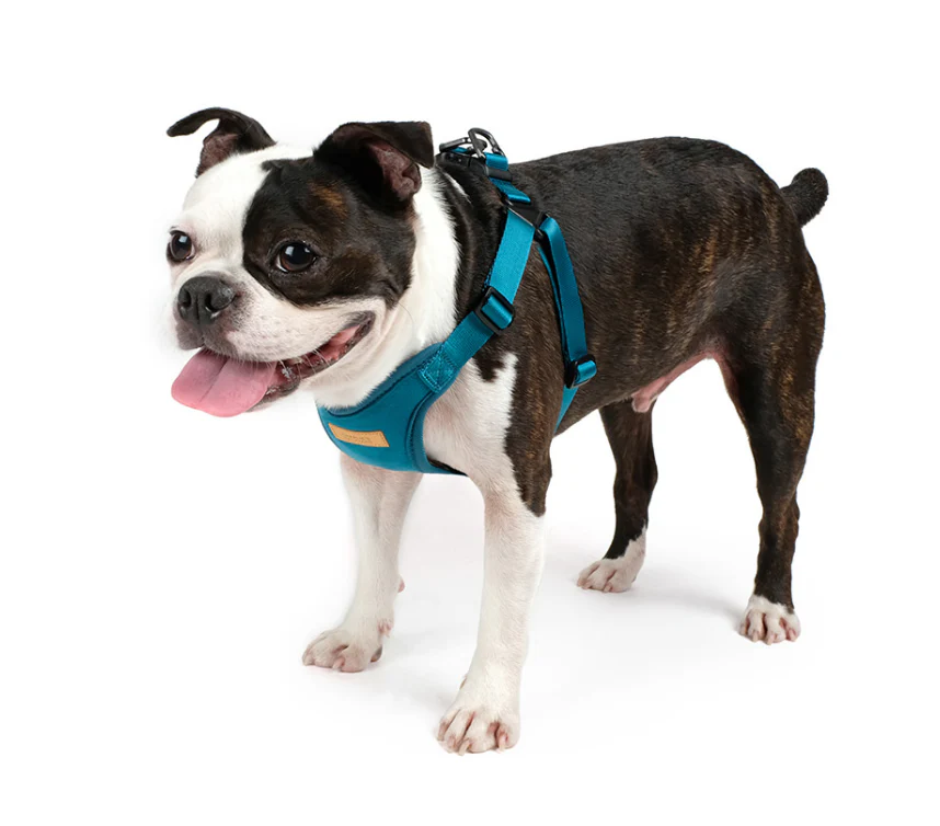Comfort Dog Harness in Teal - Image 6