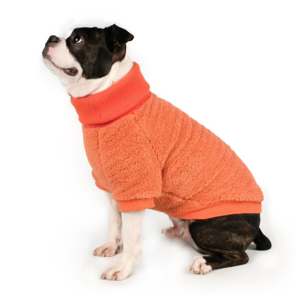 CHARLIE'S BACKYARD | Cozy Turtleneck in Orange - Image 2