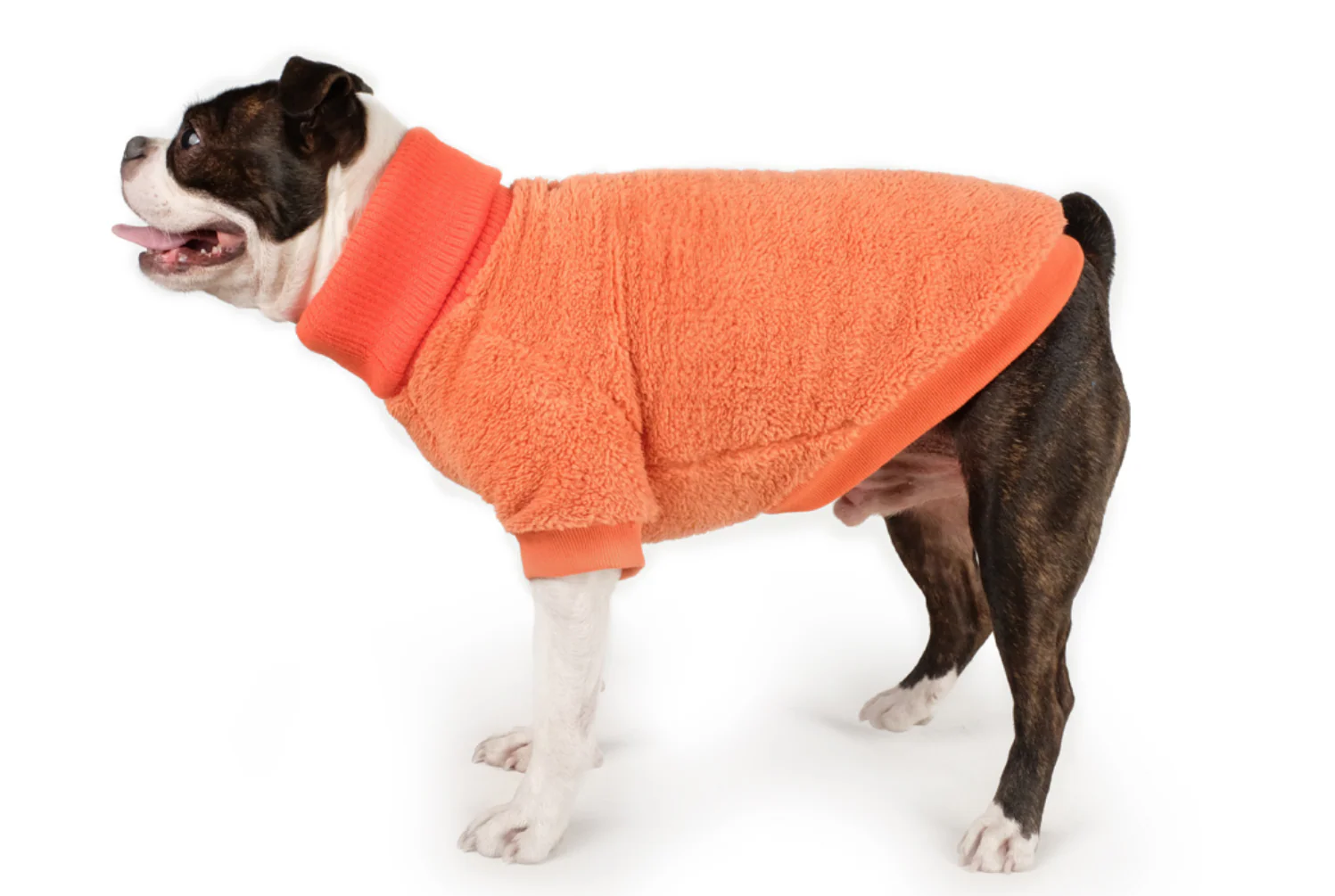 CHARLIE'S BACKYARD | Cozy Turtleneck in Orange - Image 3