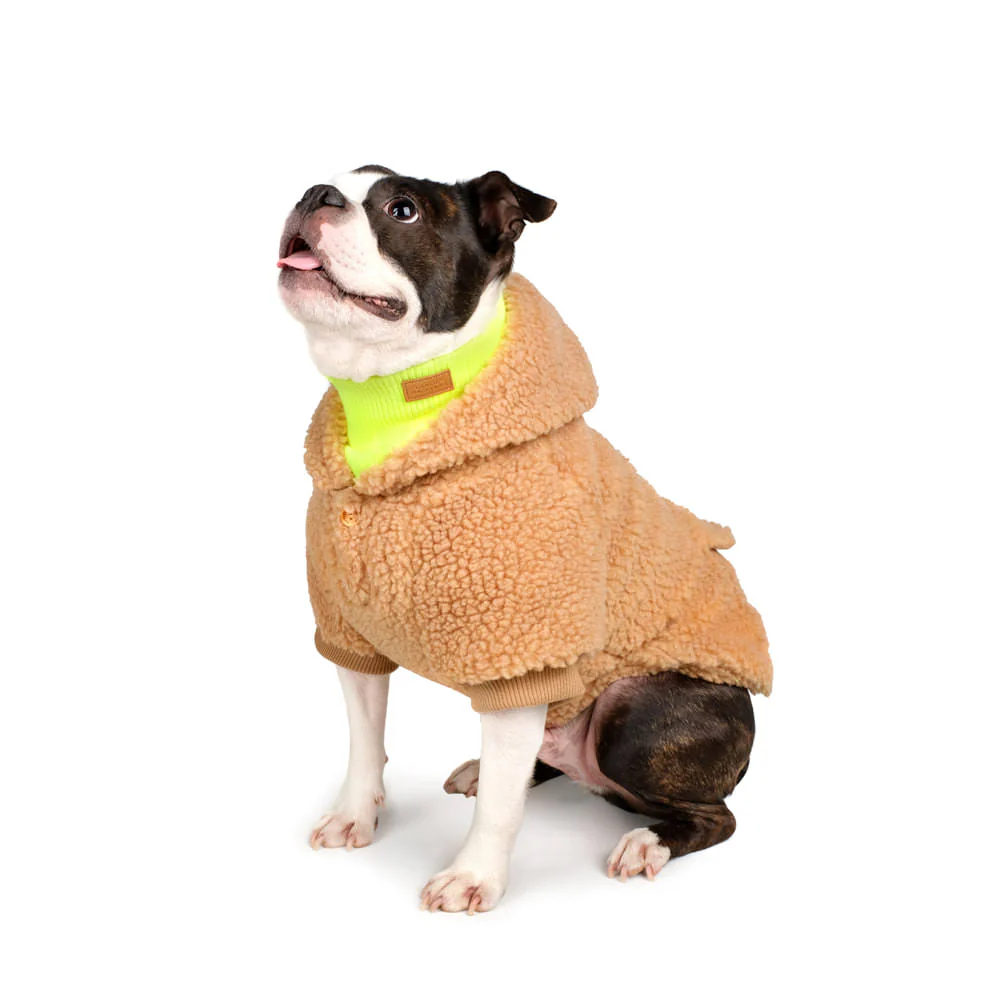 CHARLIE'S BACKYARD | Dickie Turtleneck Warmer in Neon Yellow - Image 2