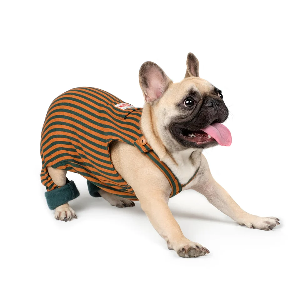 CHARLIE'S BACKYARD | Donut Overalls in Brown - Image 3