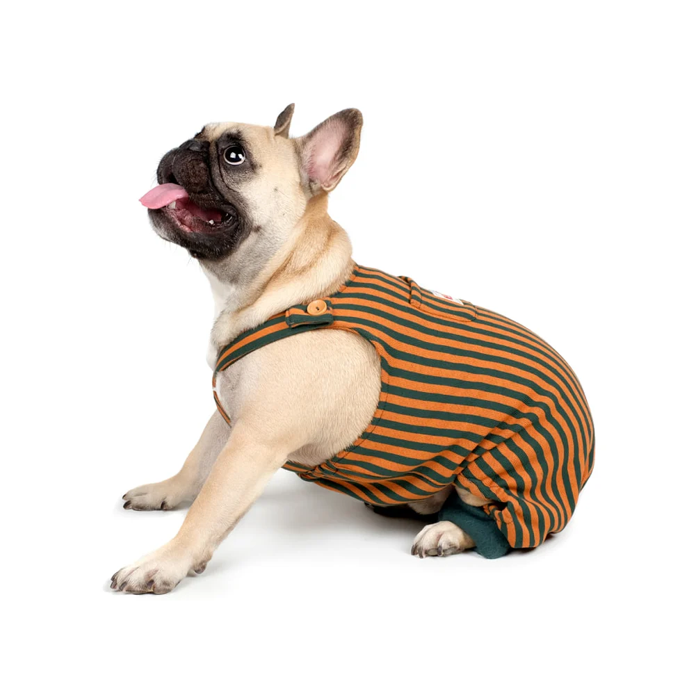 CHARLIE'S BACKYARD | Donut Overalls in Brown - Image 4