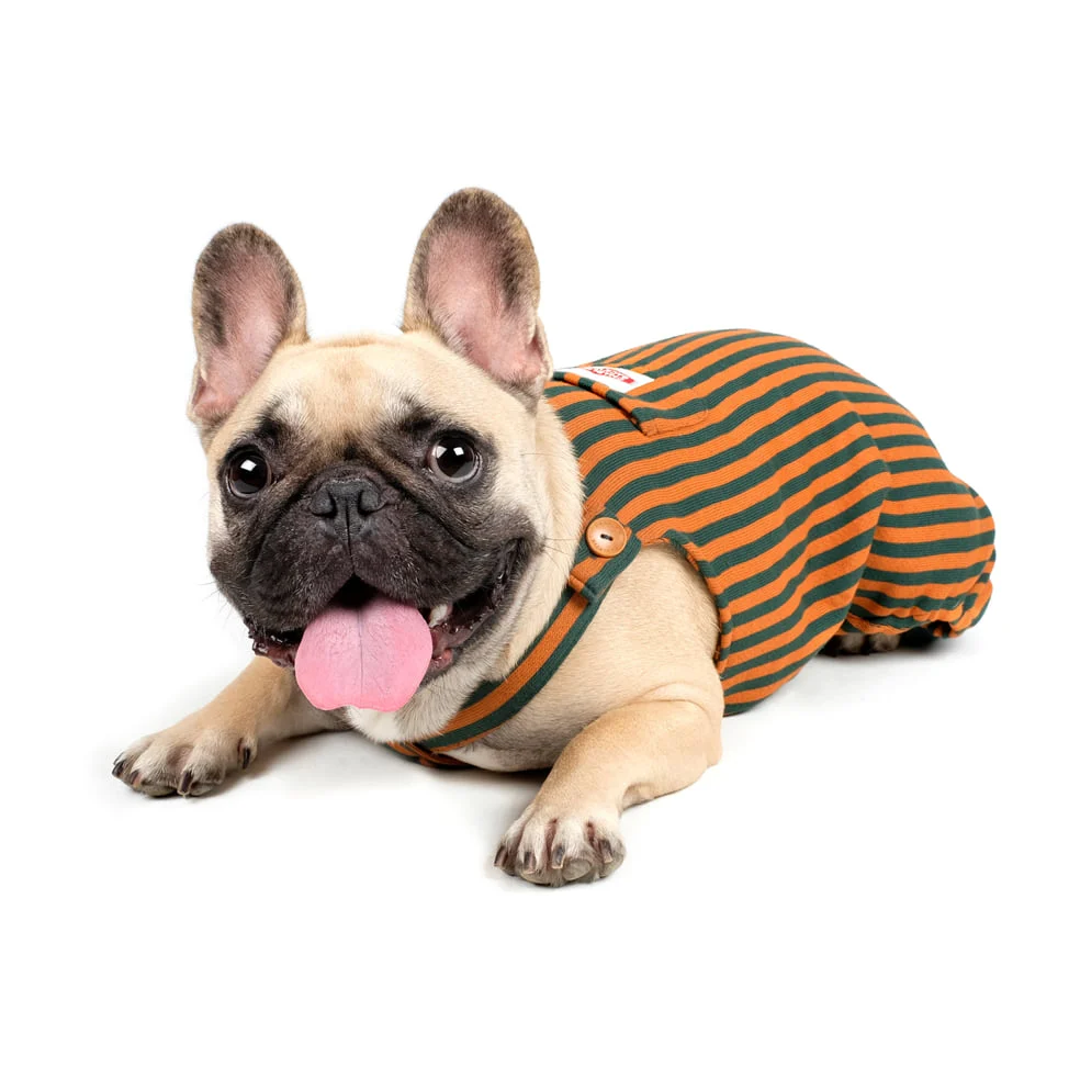 CHARLIE'S BACKYARD | Donut Overalls in Brown - Image 8