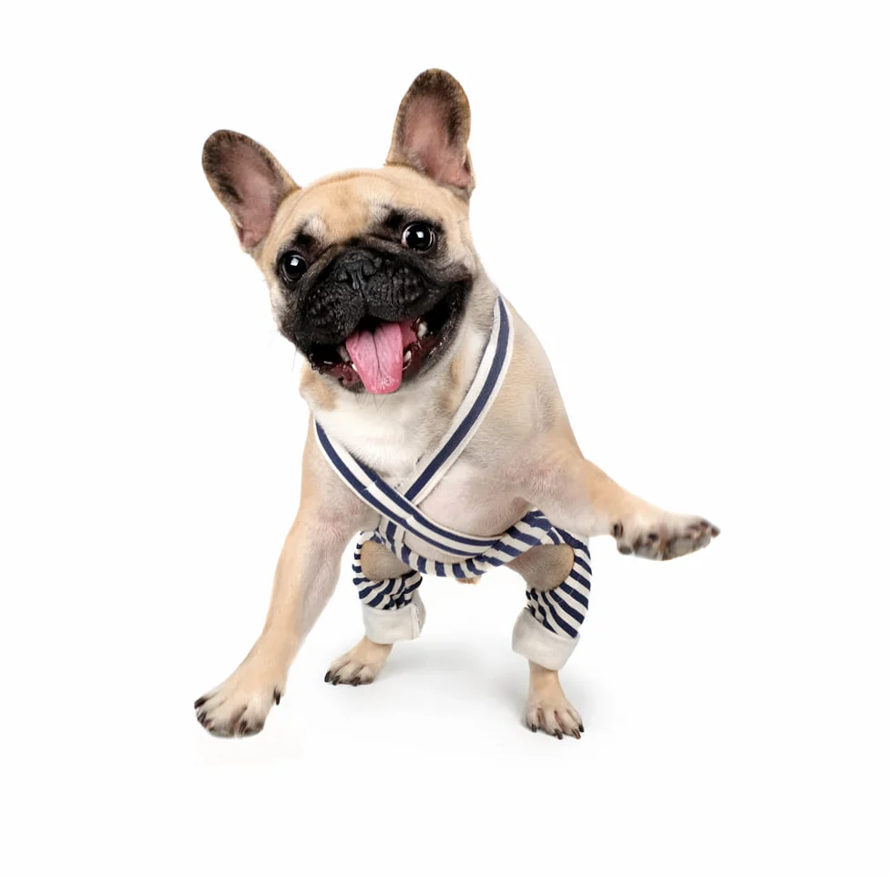 CHARLIE'S BACKYARD | Donut Overalls in Navy - Image 4