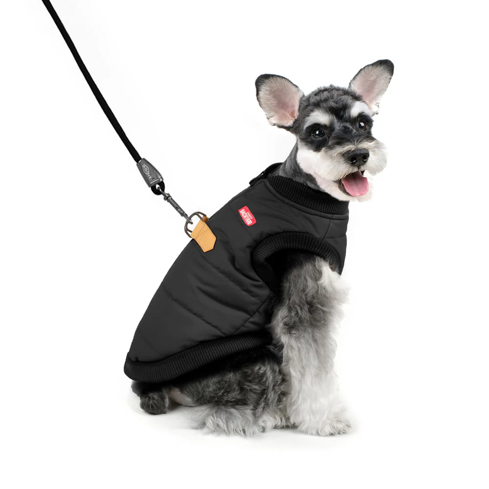 CHARLIE'S BACKYARD | Harness Jacket in Black - Image 2