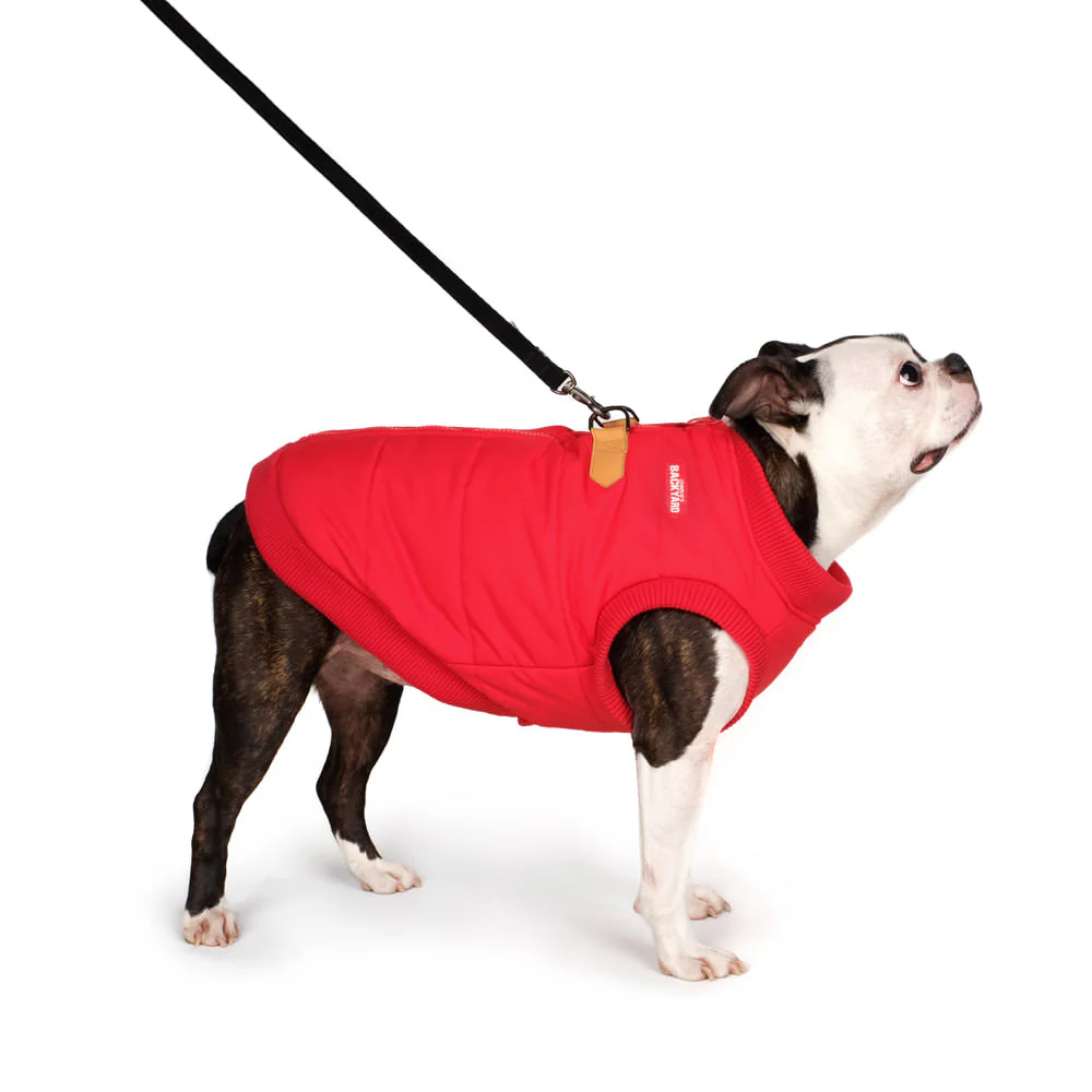 CHARLIE'S BACKYARD | Harness Jacket in Red - Image 4