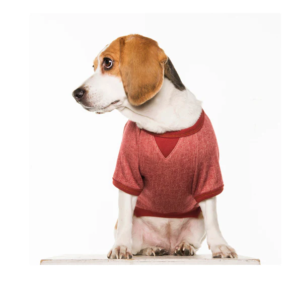 CHARLIE'S BACKYARD | Lucy Pullover in Red - Image 2