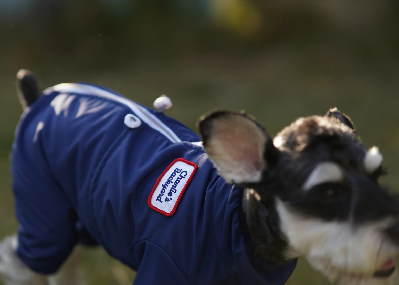 Mechanic Suit in Navy (FINAL SALE) - Image 3
