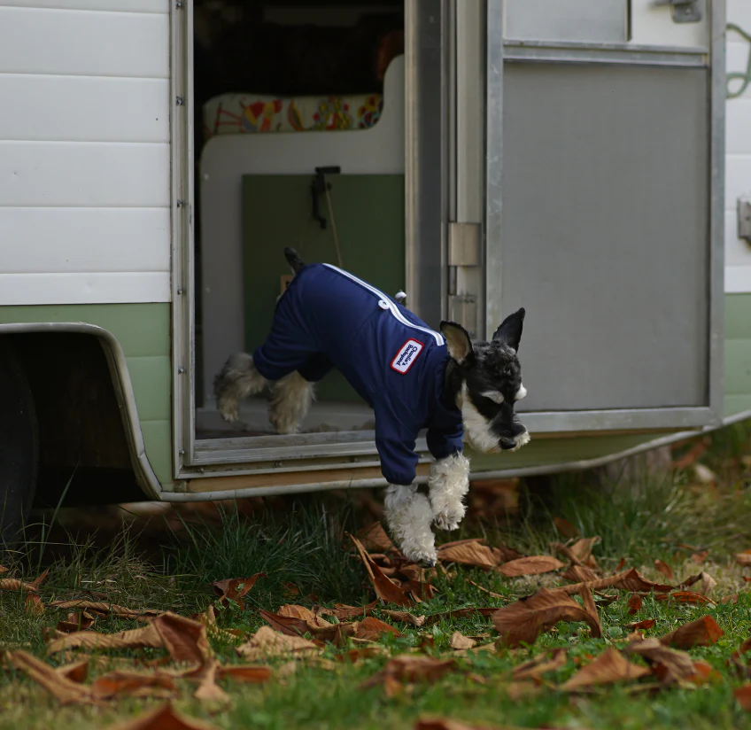 Mechanic Suit in Navy (FINAL SALE) - Image 4