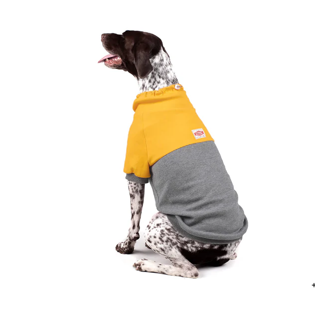 CHARLIE'S BACKYARD | Rover Pullover in Grey & Yellow - Image 4