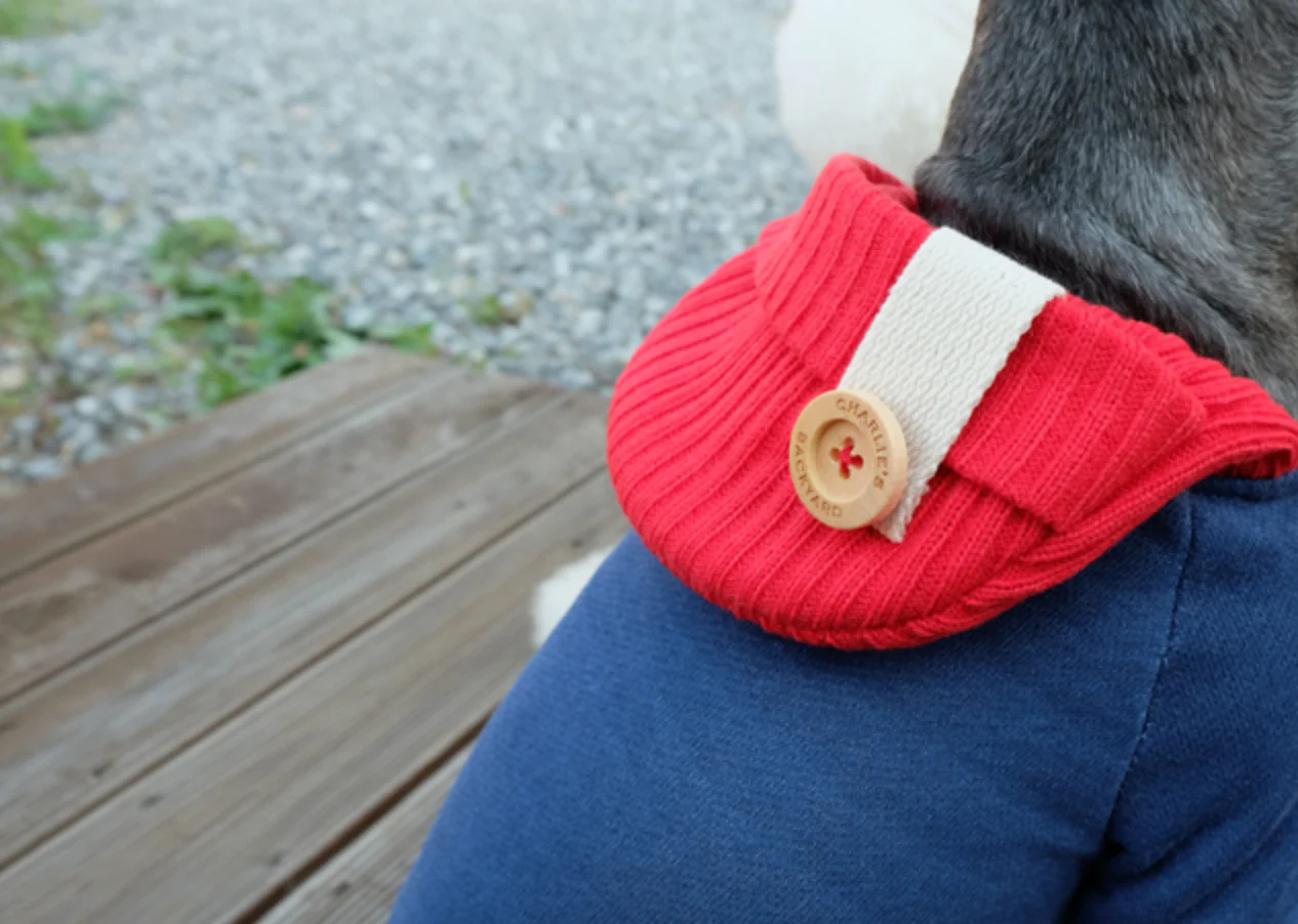 CHARLIE'S BACKYARD | Sunday Hoodie in Navy - Image 2