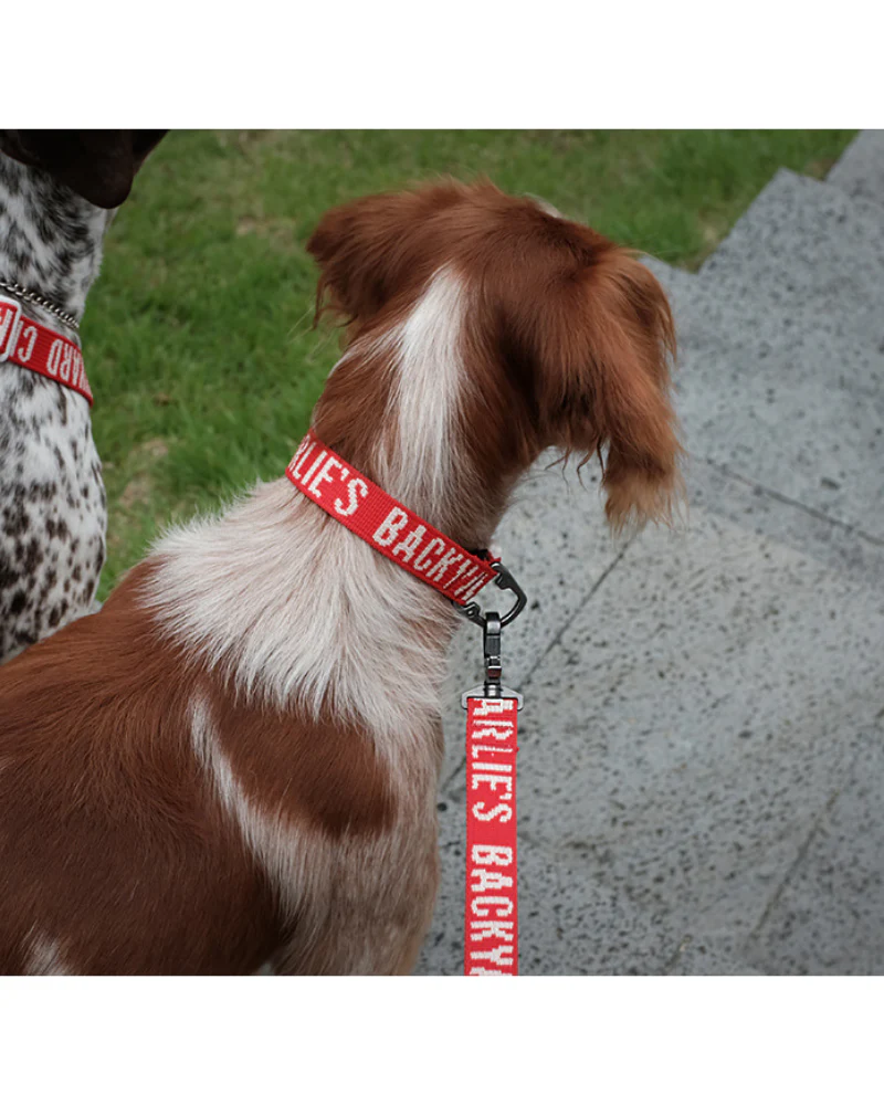 Trip Dog Leash (FINAL SALE) - Image 3