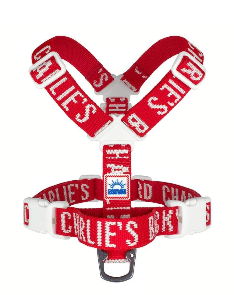 "Y" Shape Trip Harness for Dogs (FINAL SALE)