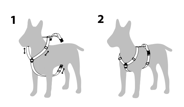 "Y" Shape Trip Harness for Dogs (FINAL SALE) - Image 12
