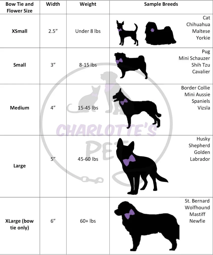 CHARLOTTE'S PET | Purple Plaid Bow Tie - Image 2