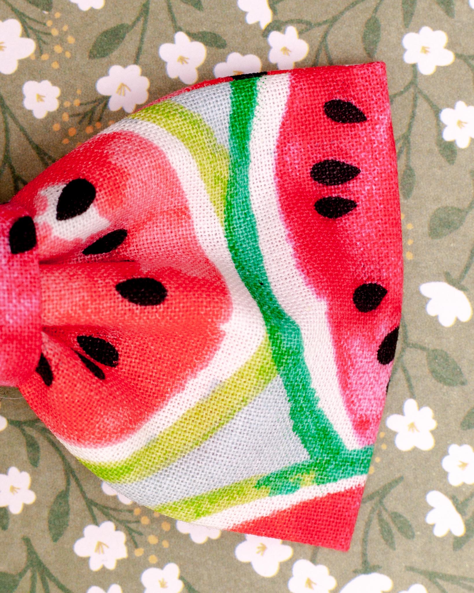 Watermelon Dog Bow Tie<br>(Made in the USA) (FINAL SALE) - Image 3