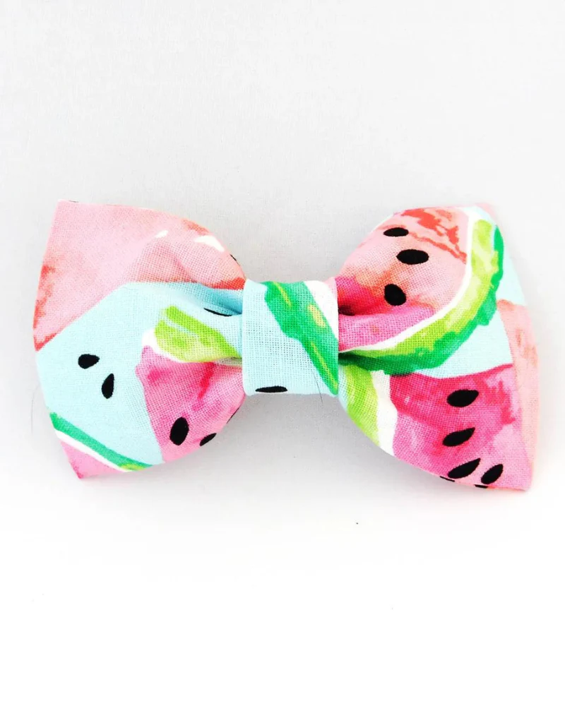 Watermelon Dog Bow Tie<br>(Made in the USA) (FINAL SALE) - Image 4