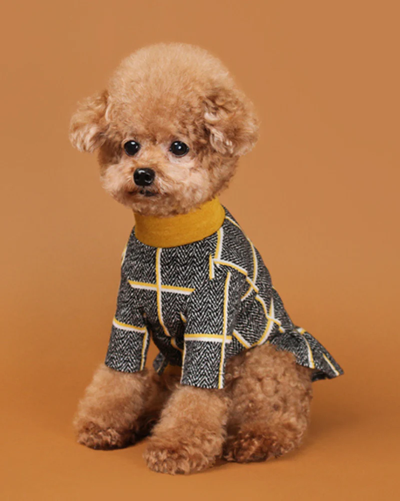 Check Dress for Dogs in Mustard Yellow (FINAL SALE) - Image 2