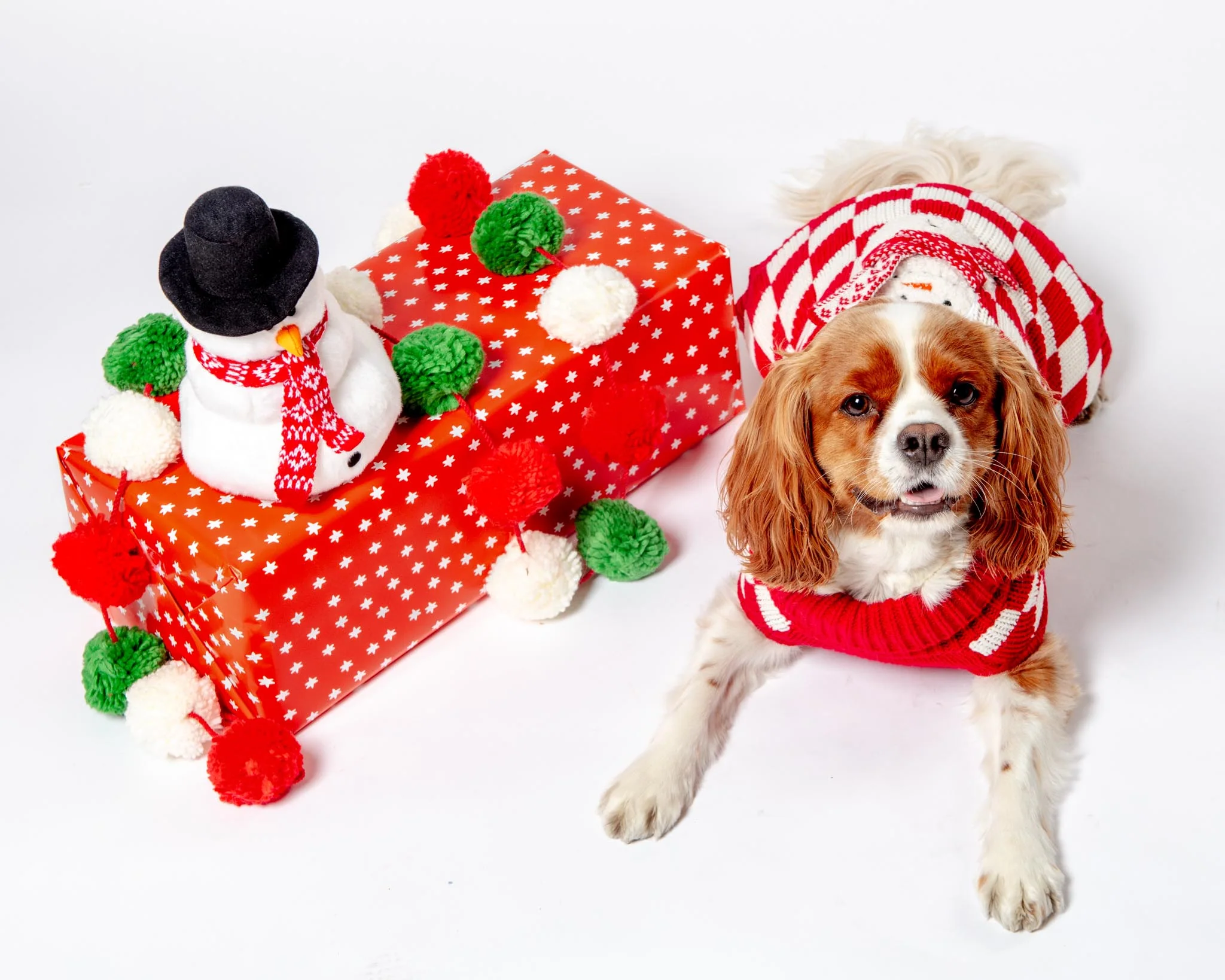 Checkerboard Snowman Sweater for Dogs (FINAL SALE) (FW24LO) - Image 4