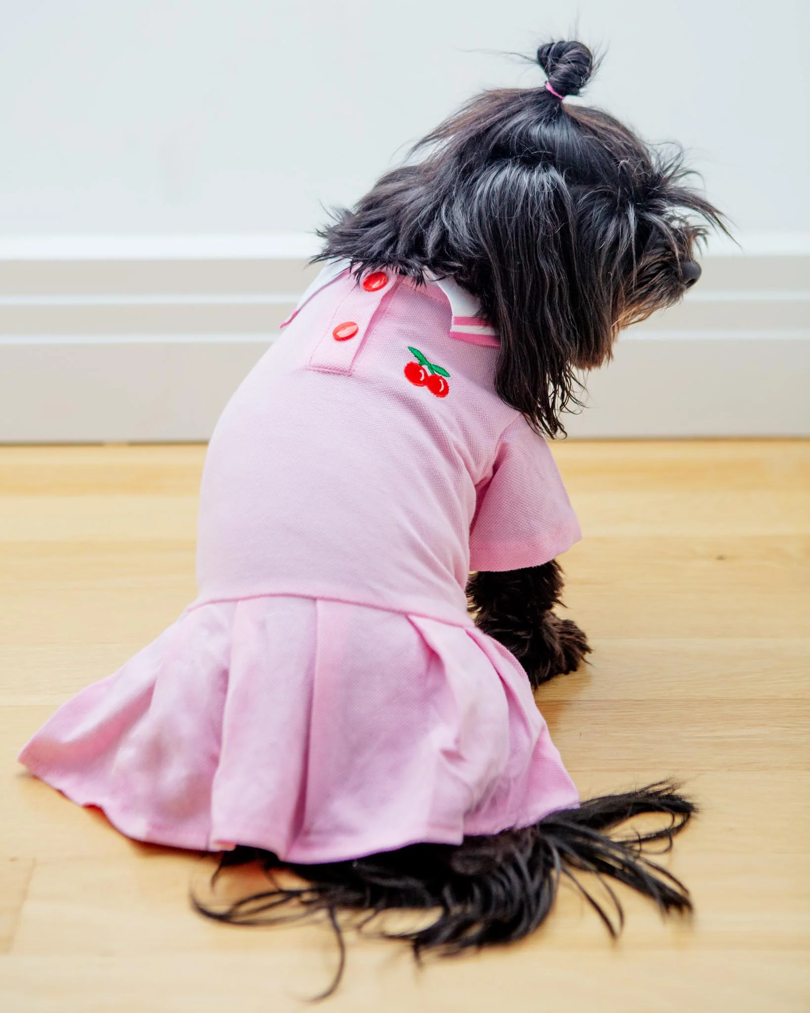 Cheeky Cherry Dog Dress (CLEARANCE) - Image 2