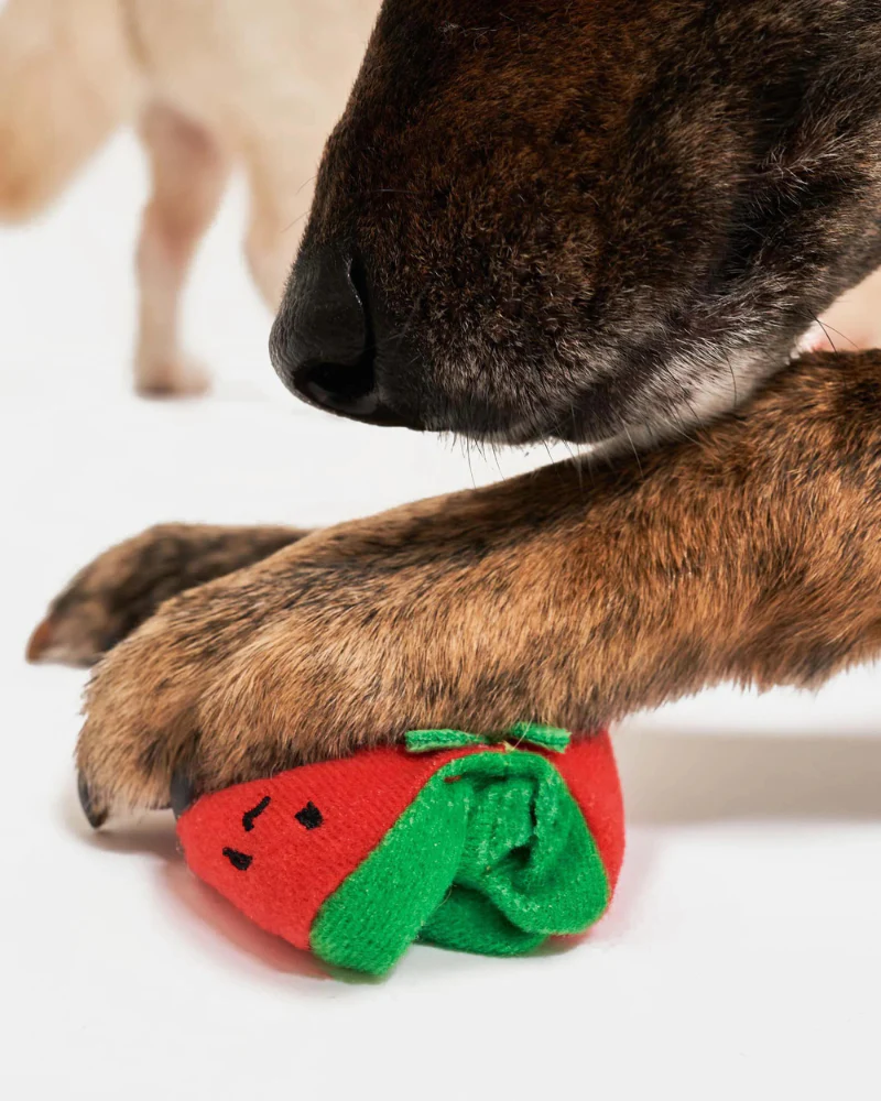 Cherry Tomato Nose Work & Tug Dog Toy - Image 10