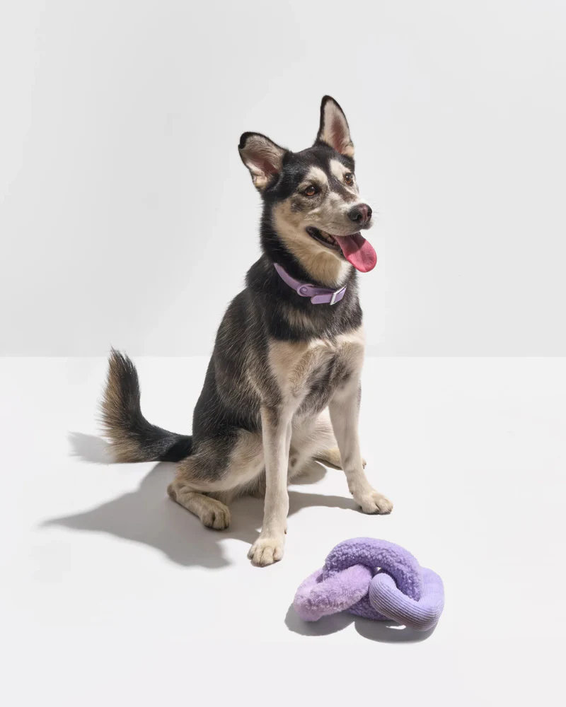 Chew Chain Squeaker Dog Tug Toy in Lilac - Image 4