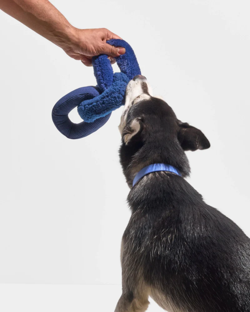 Chew Chain Squeaker Dog Tug Toy in Navy - Image 5