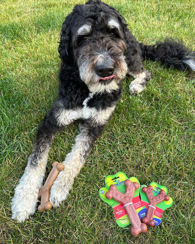 Chew 'Ems Dog Toys (Made in the USA) - Image 7