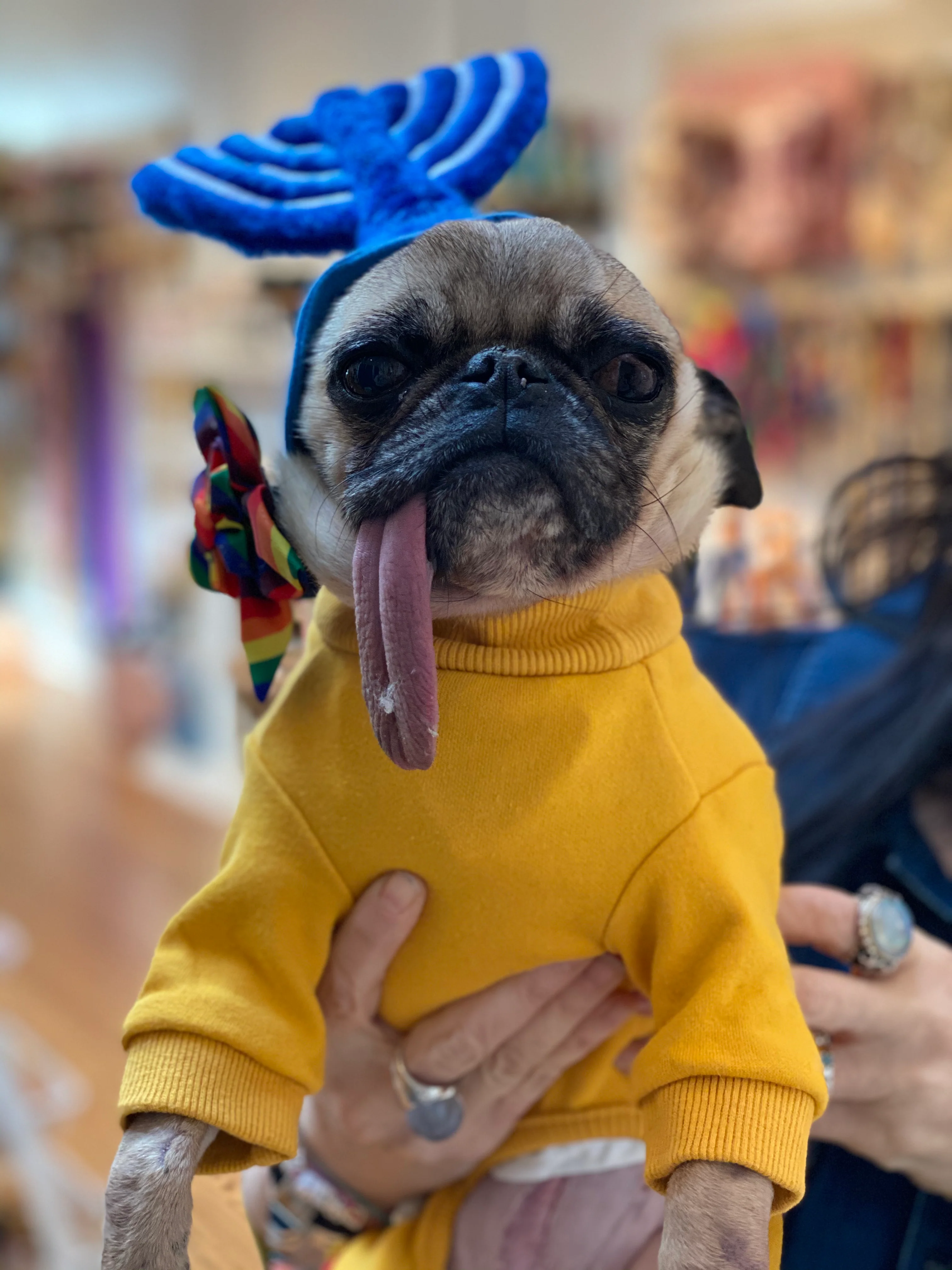 Menorah Plush Dog Hat - Image 2