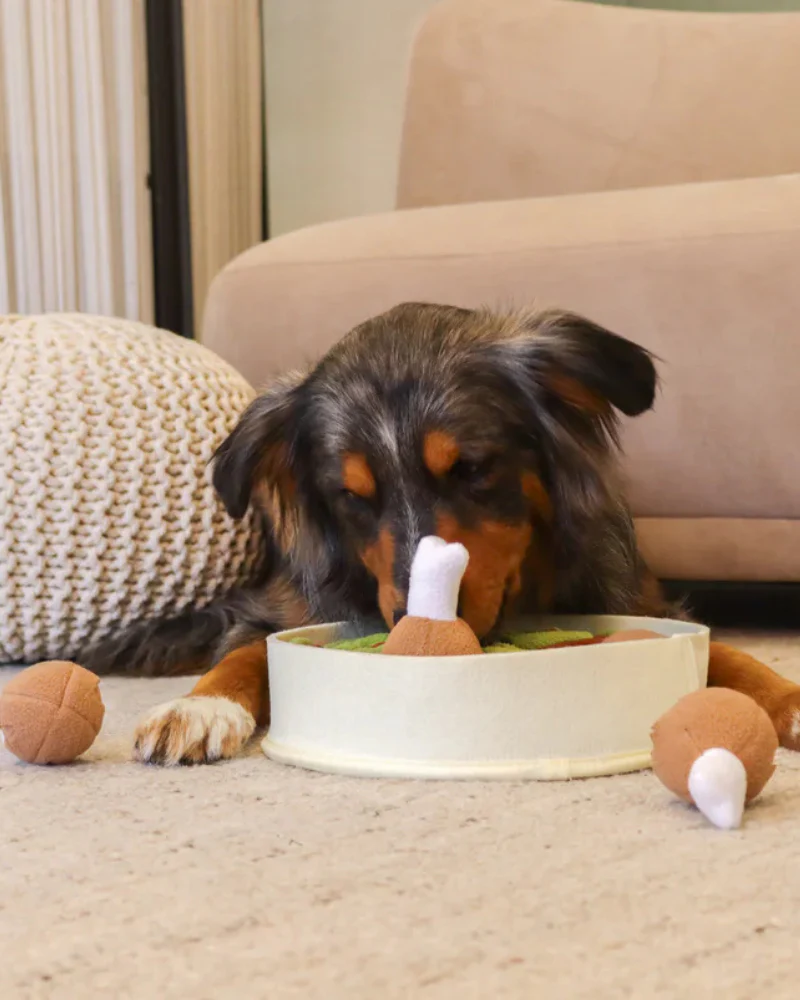 Chicken N'Gravy Dog Snuffle Bowl Toy - Image 4