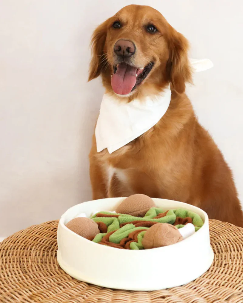 Chicken N'Gravy Dog Snuffle Bowl Toy - Image 5
