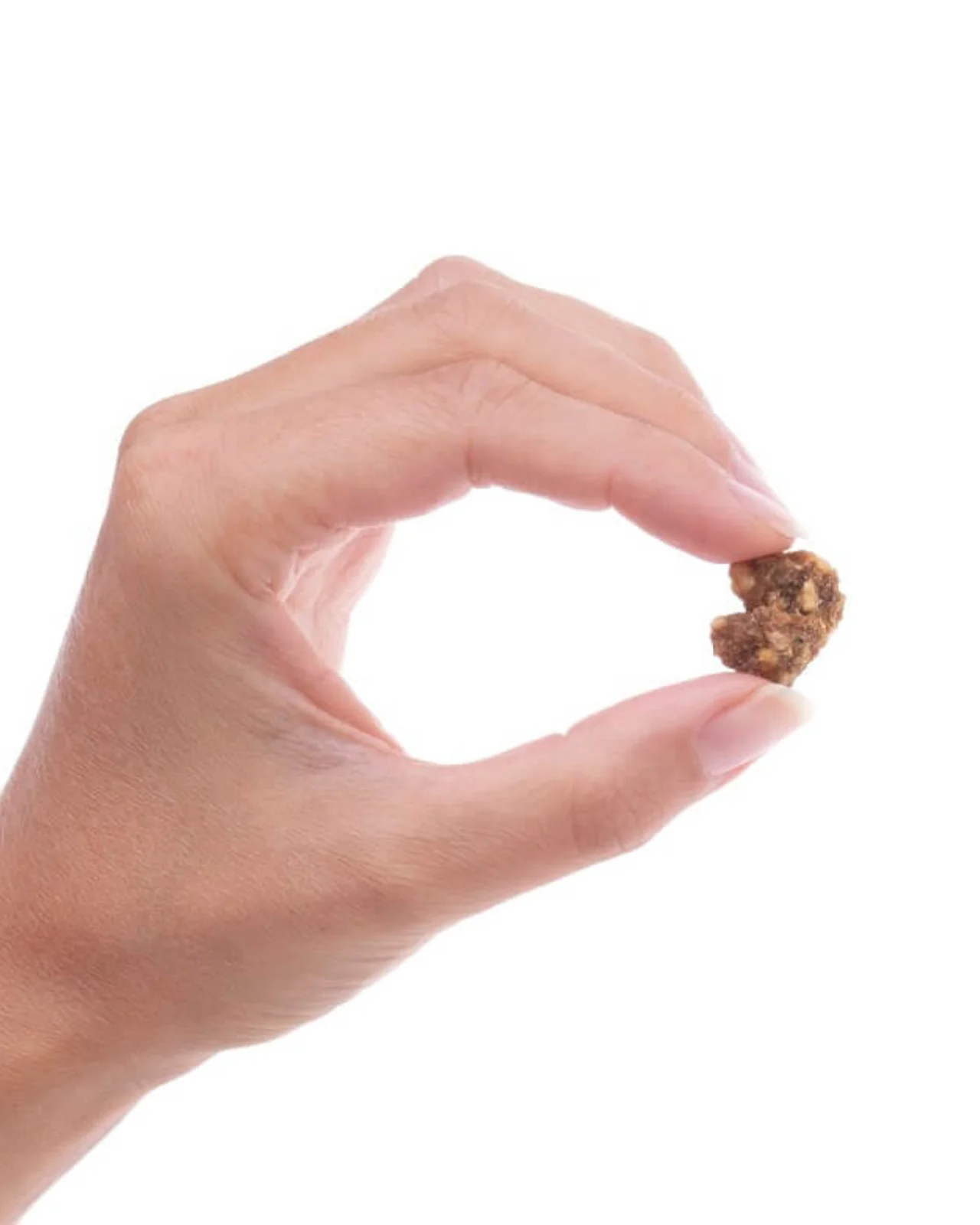 Chicken Parmesan Meatballs Dog Treats (Made in the USA) - Image 2